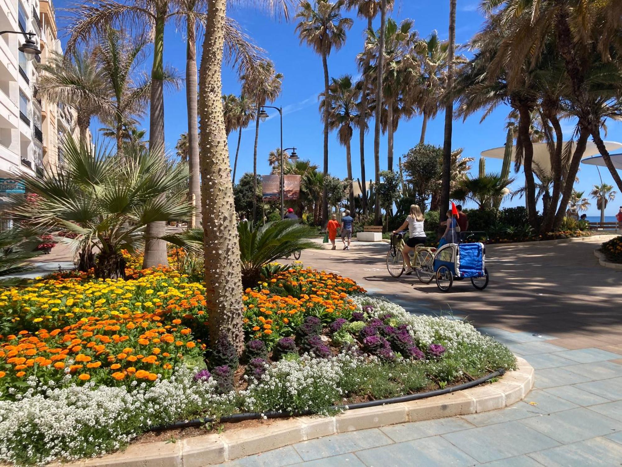 Апартаменти Alboran Costa Del Sol Естепона Екстер'єр фото